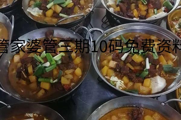 管家婆管三期10码免费资料