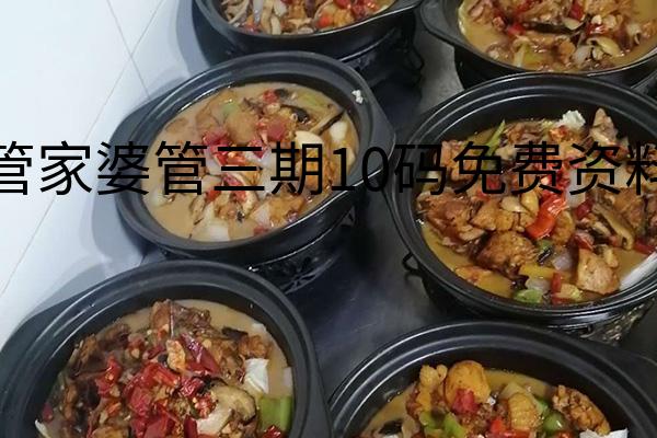 管家婆管三期10码免费资料