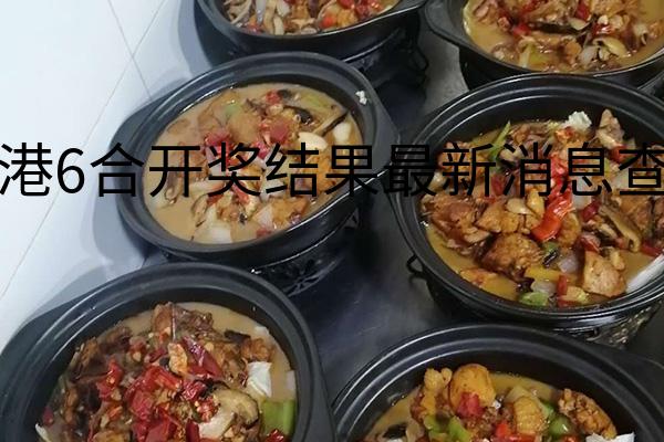 香港6合开奖结果最新消息查询